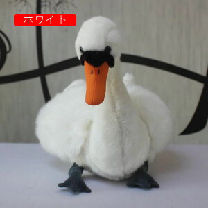 T@@ʂ݁@@@AOρ@R[q[F@@ʔ@_炩@n@@S@C@4΁@Mtg@D݁@u@X@킢@