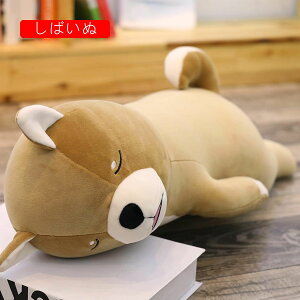 @Ԃʂ݁@@X[p\tg@Gǂ@n@܂@܂@YQ܂@NbV@Q܂@˂D݁@ޏ@v[g@55/70cm