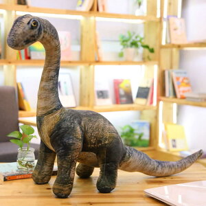 eBmTEX@ʂ݁@@50cm@70cm@105cm@@4΁@a@LO@@S@C@蕨@v[g@u@X@݁@傫@