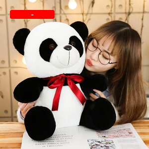 p_ ʂ  45cm A p_D l` NbV NX}Xp NX}Xv[g 蕨 a v[g Mtg u X