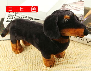 @@ʂ݁@AOρ@@_炩@n@@S@C@@40cm@j@av[g@킢@@Vl@v[g@X