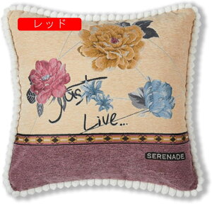 48×48cm NbVJo[ ԕ hJ k Jo[ [ _炩 Gǂ zcJo[ G \t@[p ֎qp ԗp CeA  v[g Jo[ 2Zbg