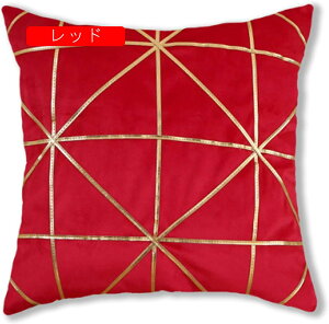 45×45cm Jo[ Jo[ 2Zbg xxbg _炩 Gǂ NbVJo[ zcJo[ G ԗp \t@[p ֎qp  CeA _ 􉽊w͗l 10