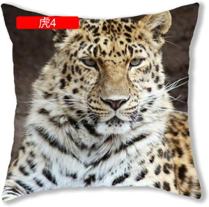 NbVJo[ Jo[ _  _炩 Gǂ zcJo[ Jo[ v[g G \t@[p ֎qp ԗp CeA  2Zbg 45×45cm