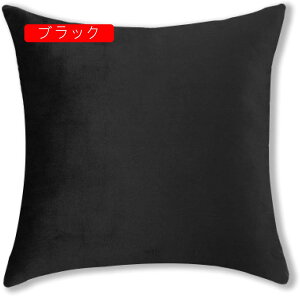 45×45cm Jo[ Jo[ 2Zbg xxbg _炩 Gǂ NbVJo[ zcJo[ G ԗp \t@[p ֎qp  CeA _ Vv n