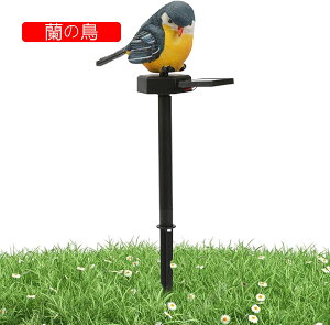 \[[Cg K[fCg \[[Cg Cg \[[Cg  tNE u uCg Ɩ Ԏ_  ߍݎ \[[[d   Ő