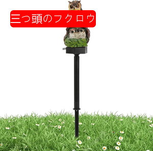 \[[Cg K[fCg \[[Cg Cg \[[Cg  tNE u uCg Ɩ Ԏ_  ߍݎ \[[[d   Ő