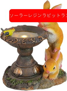 zETMvA̒oj[uAOpeBI[hŐp̑zFωLEDCgt̑ϋv̂ό󐫒̑ (\[[Wrbgv)