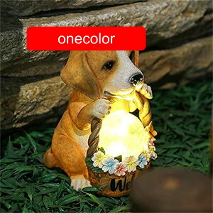 \[[Cg uCg K[fCg  뉀  胉Cg   IP58h ϋv 킢 v[g  O fR[V 