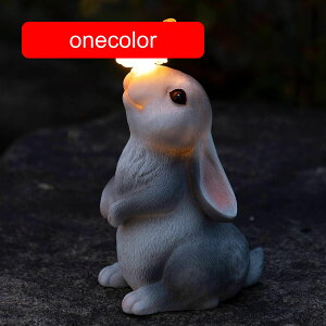 K[fAEghA ETM̒̑ \[[o^tCCgt ʔETM̑ eX oRj[  |[` Ő C[X^[ t̉O (F)