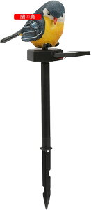 OuCgAO̒̑ K[fAj}Cg | ̎Ő̕iK[fXe[NA̓LEDoHCgAƒpOp