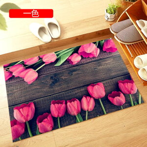 玄関マット カラー 室内 屋内 洗える 玄関 マット 北欧 おしゃれ 滑り止め キッチンマット ラグ 西海岸 モダン 柄 ペルシャ絨毯 北欧 高密度 50X80cm じゅうたん 室内 屋内 ラグマット