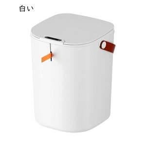 [VS~X}[gS~20L^b`XRh~S~ƒAoX[ALb`p