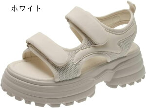 T_ fB[X ₷ X|[cT_ T_ }WbNe[v ₷ y AEghA  t@bV ؂ 킢 ANu[c IV |Ce