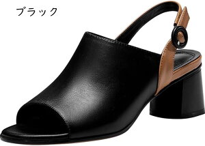 T_ q[T_ O `L[q[  5cmq[ nCq[ fB[X XNGAgDq[ y K _炩 ʋC L ɂ  ؂ 킢 vbgt