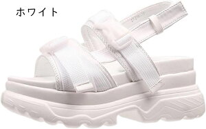 T_ fB[X Xj[J[T_  tbg X|[c I[vg ₷ ɂ  r  Vv 傫TCY ʊw ʋ 傫TCY nCq[