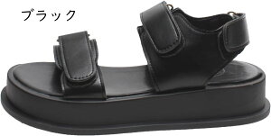 T_ X|[c fB[X  y }WbNe[v ₷ EH[LO AEghA  EFbW\[ t@bVT_ u[c Ȃ 傫TCY nCq[