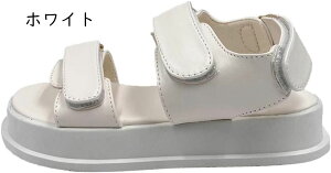 T_ X|[c fB[X  y }WbNe[v ₷ EH[LO AEghA  EFbW\[ t@bVT_ u[c Ȃ 傫TCY nCq[