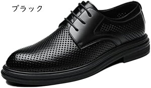 V[NbgV[Y rWlXV[Y Y 傫TCY vC 6cm/8cmq[ bV  amC T_ Ȃ h [XAbv  J tH[}  ubN Ȃ