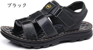 T_ Y vT_ RtH[g r[`T_  ʋC  X|[cT_ JWA y ~ ^]C OfBG[^[T_  풅p AEghAT_