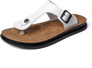 r[`T_ Y Xbp v gOT_ ėp RtH[g ɂȂ JWAT_ y ~ AEghA  T}[V[Y O TCY 