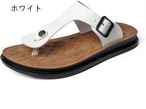 r[`T_ Y Xbp v gOT_ ėp RtH[g ɂȂ JWAT_ y ~ AEghA  T}[V[Y O TCY 