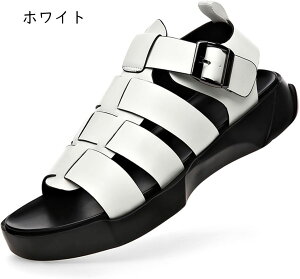 XgbvT_ RtH[g r[`T_ Y  Ȃ JT_ OfBG[^[T_ X|[c y hCo[T_  jp ʋC IV AEghA