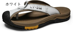 gOT_ ܐی RtH[g r[`T_ Y  ~ AEghA vT_ U[ ʋC  y   O  傫TCY  JWA