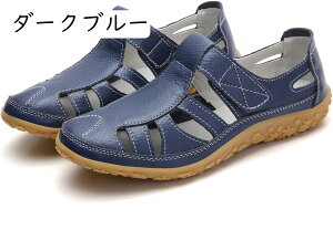 T_ fB[X ؂ EhgD L Ȃ ɂȂ C T_  t y h xN EH[LO 傫TCY r[`T_ l X|T 傫TCY