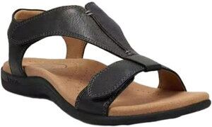 T_ fB[X r[`T_ 傫TCY RtH[gV[Y ČC tbg JWA h y Xb| ₷ ʋC L ^] JWA ꂢ ꂢ AEgh