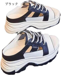 T_ Cq[Xj[J[ EFbW\[ ~[ fB[X ƂȂ X|[c L [XAbv h ʋC Ȑ  T}[T_ W[ l ItBX   ^