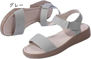 T}[T_ X|[cT_ xN ČC C fB[X EH[LOV[Y ^C ~ tbg Ռz ʋC _炩 y [  p[eB[ 芴 I