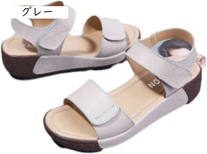 X|[cT_  fB[X gUP r xN wlC T}[T_ h NbV y X|[c EH[LO Ȃ d nCLO  x[VbN W[p 