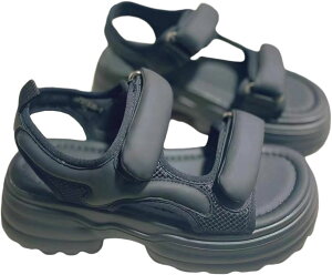 T_ fB[X X|[c }WbNe[v  ₷ r y ~ q[ 傫TCY TCY JWA X|[c AEghA  V[gu[c JW