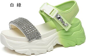 T_ fB[X X|[cbV X|T  ₷ y r ~ q[ 傫TCY TCY JWA AEghA  X|[c V[gu[c JW