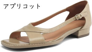 T_ fB[X `J v pvX XgbvZp[gpvX [q[ V[Y XNGAgD pvXvC {v U[ ʋ t JWA  ItBX wlC V[g