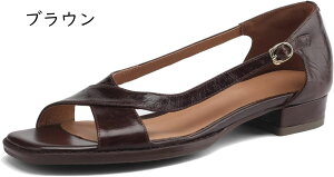 T_ fB[X `J v pvX XgbvZp[gpvX [q[ V[Y XNGAgD pvXvC {v U[ ʋ t JWA  ItBX wlC V[g