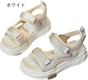 T_ fB[X X|[c}WbNe[v X|T ₷ ~ q[  r y 傫TCY TCY  X|[c AEghA JWA V[gu[c