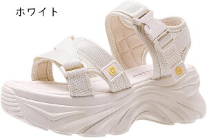 T_ fB[X X|[c q[  傫TCY TCY ₷ y r ~ q[ X|T AEghA X|[c  JWA V[gu[c J