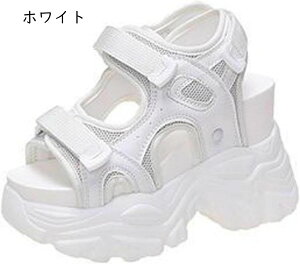 T_ fB[X X|[c 10cm q[ }WbNe[v X|T ₷ ~ q[  r 傫TCY AEghA X|[c JWA y TCY