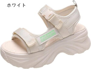 T_ fB[X X|[c₷  n  TCY 傫TCY y r ~ q[ X|T JWA AEghA  X|[c V[gu[c JWA