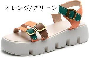 T_ fB[X X|[c  y r ₷ ~ q[ TCY 傫TCY JWA AEghA X|[c  V[gu[c JWA bV