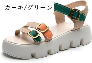 T_ fB[X X|[c  y r ₷ ~ q[ TCY 傫TCY JWA AEghA X|[c  V[gu[c JWA bV