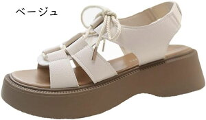 T_ fB[X ₷ ꂢ X|[cT_ X|T   ₷ Ȃ R y   u[c Ȃ 傫TCY nCq[ I[vgD 傫