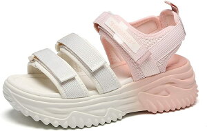 T_ fB[X X|[c }WbNe[v ₷  y r ~ q[ 傫TCY TCY X|T JWA X|[c AEghA  V[gu[