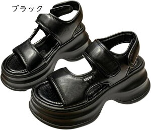 T_ fB[X X|[c X|  n ₷ ~ q[  r y 傫TCY AEghA X|[c JWA TCY  V[gu[c JWA