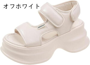 T_ fB[X X|[c X|  n ₷ ~ q[  r y 傫TCY AEghA X|[c JWA TCY  V[gu[c JWA