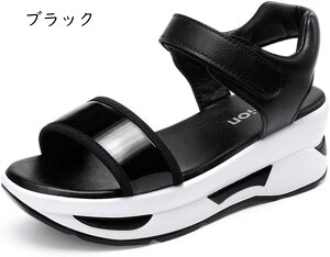 T_ fB[X EFbW\[ q[     Gi  EGbW\[ ~ZX ₷ Ȃ r Xgbv X|[cɂȂ  X|T RtH[g V