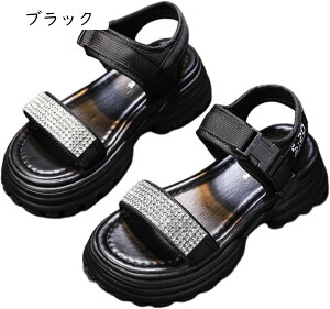 T_ fB[X X|[c n LL ₷  y r ~ q[ 傫TCY TCY X|[c JWA AEghA  V[gu[c JWA