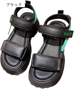 T_ fB[X X|[c₷   r y ~ q[ 傫TCY TCY X|T JWA AEghA  X|[c V[gu[c JWA 